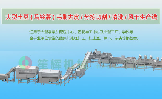 汉中连续式土豆去皮清洗切割风干生产线